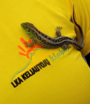 Vartotojo avataras