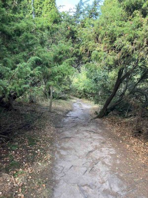 IMG-0fdd07dd1071f3823ae35604f444f88e-V.jpg